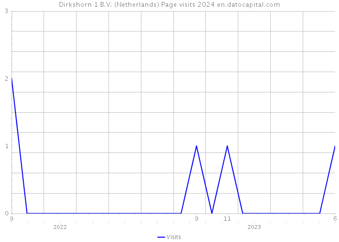 Dirkshorn 1 B.V. (Netherlands) Page visits 2024 