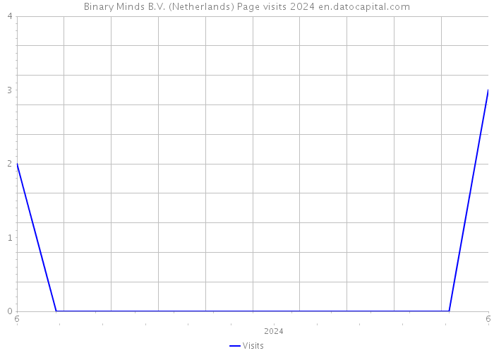 Binary Minds B.V. (Netherlands) Page visits 2024 