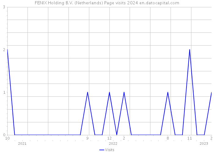 FENIX Holding B.V. (Netherlands) Page visits 2024 