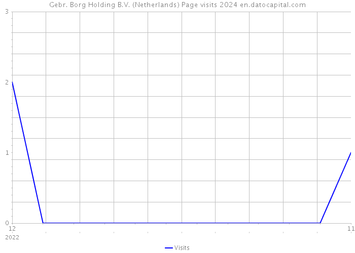 Gebr. Borg Holding B.V. (Netherlands) Page visits 2024 