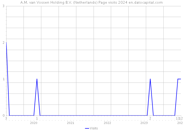 A.M. van Vossen Holding B.V. (Netherlands) Page visits 2024 
