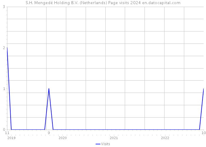 S.H. Mengedé Holding B.V. (Netherlands) Page visits 2024 