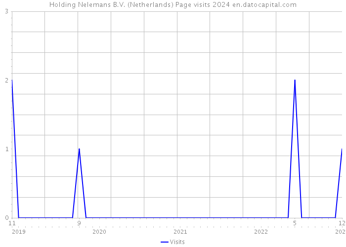 Holding Nelemans B.V. (Netherlands) Page visits 2024 