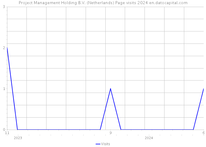 Project Management Holding B.V. (Netherlands) Page visits 2024 