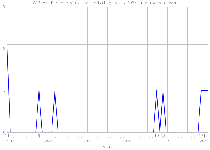 W.P. Hes Beheer B.V. (Netherlands) Page visits 2024 