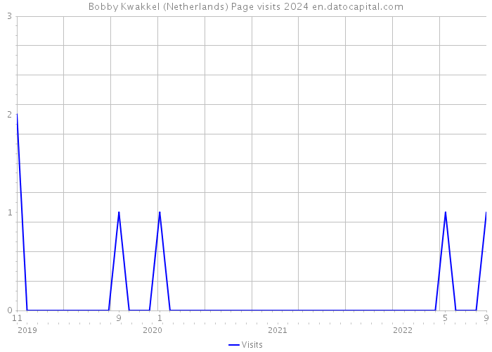 Bobby Kwakkel (Netherlands) Page visits 2024 