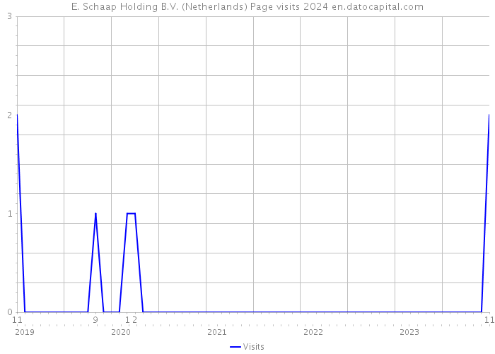 E. Schaap Holding B.V. (Netherlands) Page visits 2024 