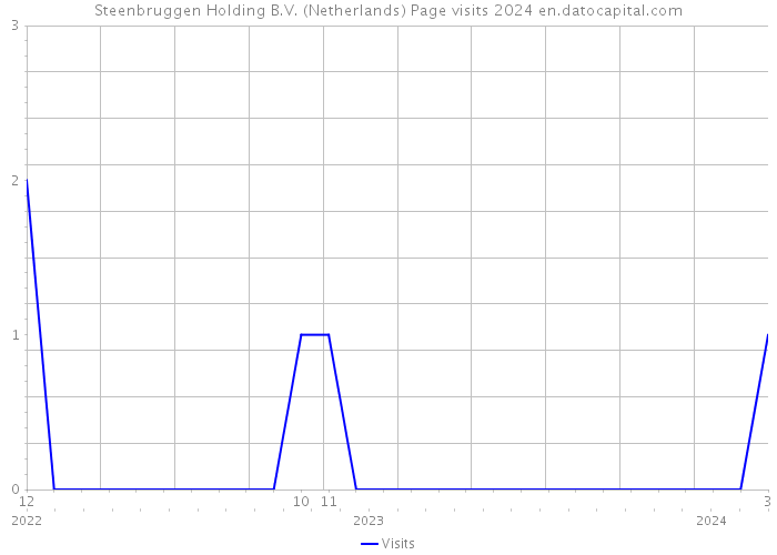 Steenbruggen Holding B.V. (Netherlands) Page visits 2024 