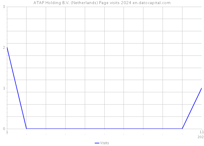 ATAP Holding B.V. (Netherlands) Page visits 2024 