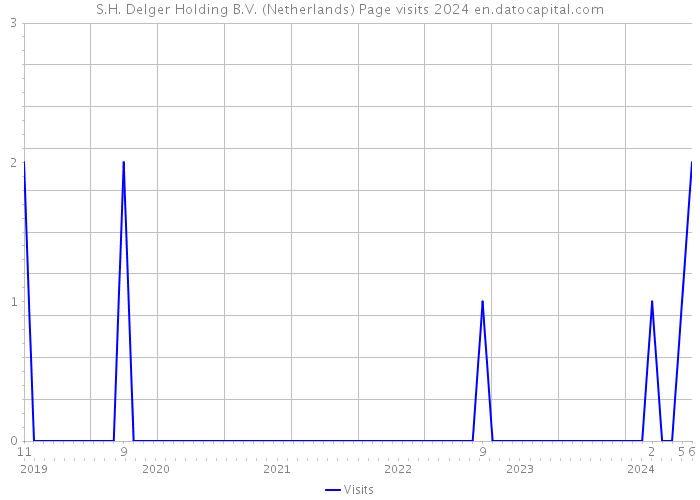 S.H. Delger Holding B.V. (Netherlands) Page visits 2024 