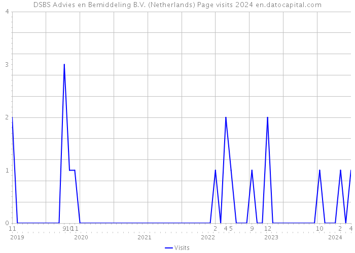 DSBS Advies en Bemiddeling B.V. (Netherlands) Page visits 2024 