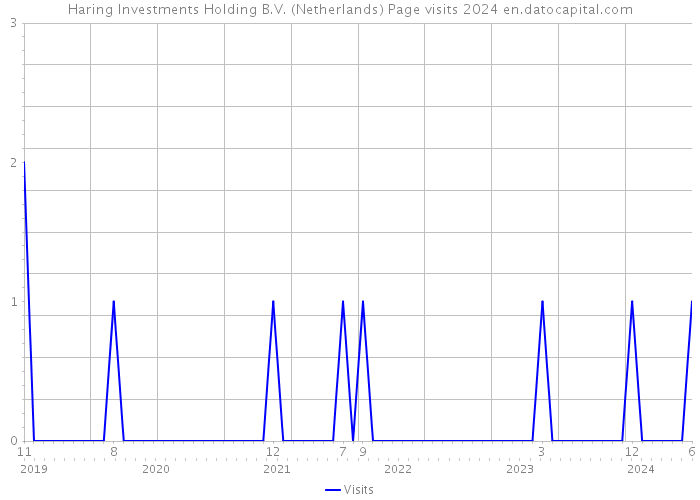Haring Investments Holding B.V. (Netherlands) Page visits 2024 