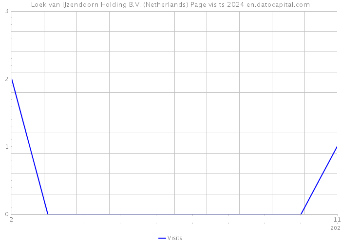 Loek van IJzendoorn Holding B.V. (Netherlands) Page visits 2024 