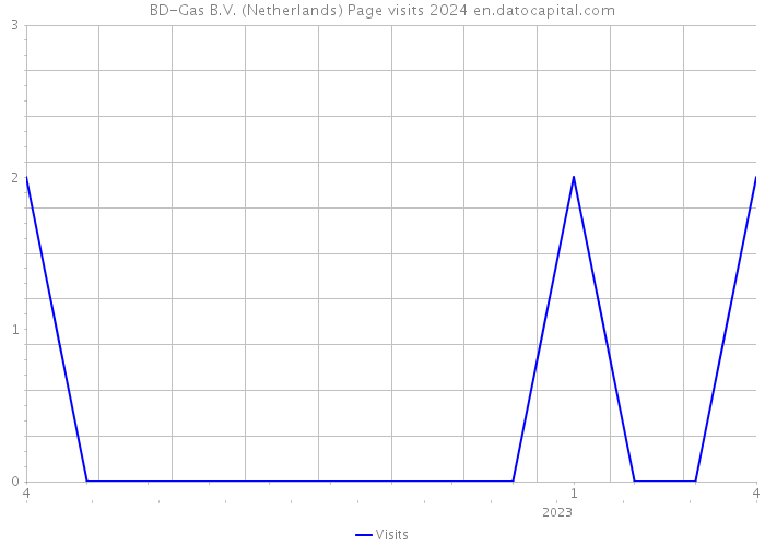 BD-Gas B.V. (Netherlands) Page visits 2024 
