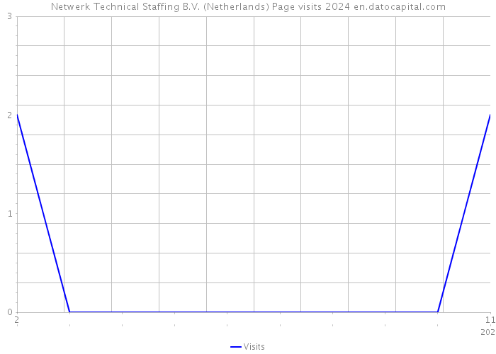 Netwerk Technical Staffing B.V. (Netherlands) Page visits 2024 