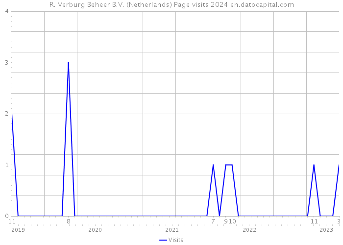 R. Verburg Beheer B.V. (Netherlands) Page visits 2024 