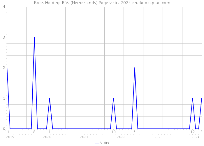 Roos Holding B.V. (Netherlands) Page visits 2024 