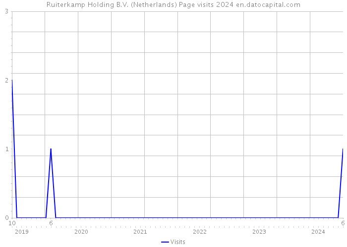 Ruiterkamp Holding B.V. (Netherlands) Page visits 2024 
