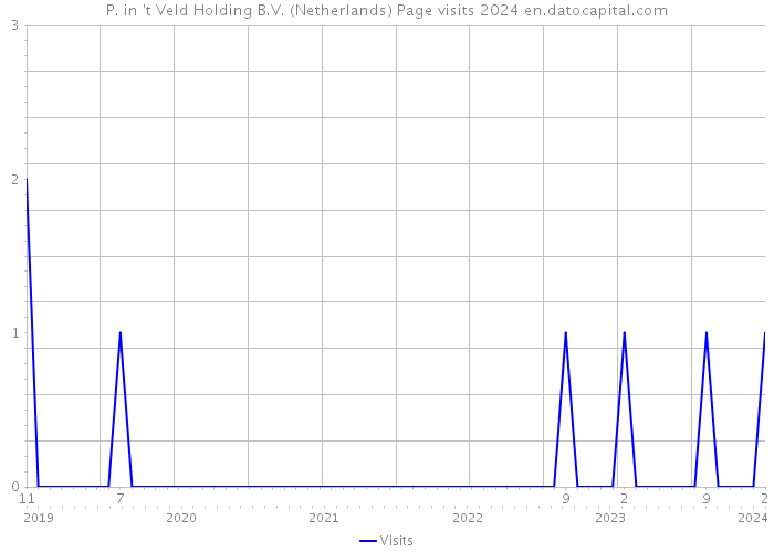 P. in 't Veld Holding B.V. (Netherlands) Page visits 2024 