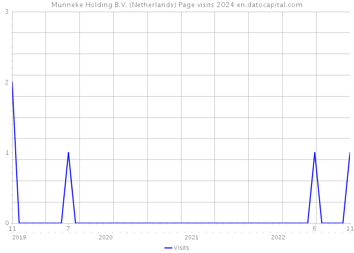 Munneke Holding B.V. (Netherlands) Page visits 2024 