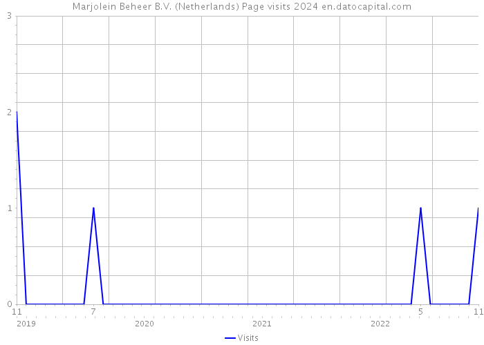 Marjolein Beheer B.V. (Netherlands) Page visits 2024 