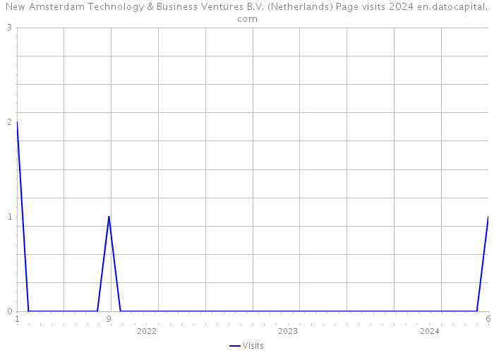 New Amsterdam Technology & Business Ventures B.V. (Netherlands) Page visits 2024 