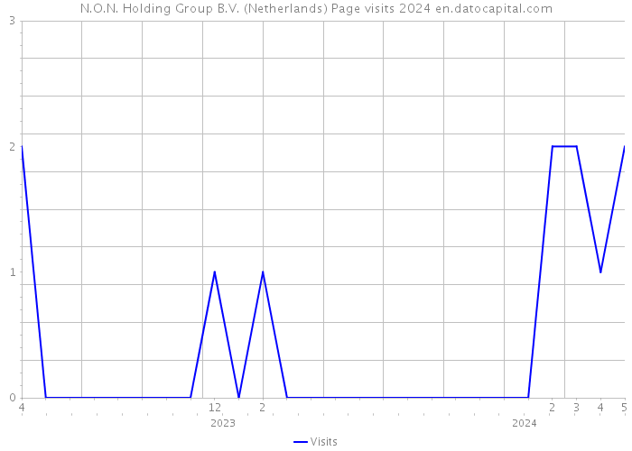 N.O.N. Holding Group B.V. (Netherlands) Page visits 2024 