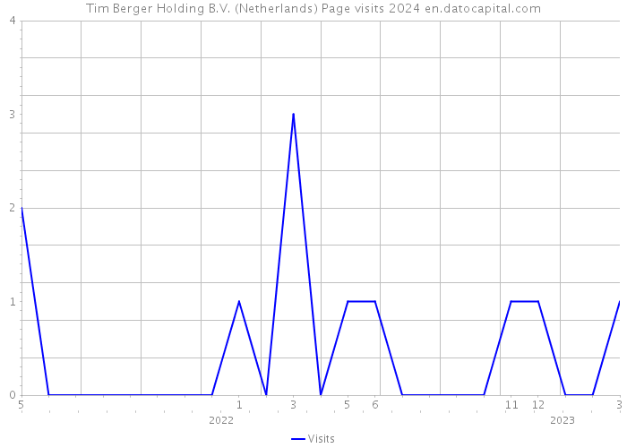 Tim Berger Holding B.V. (Netherlands) Page visits 2024 