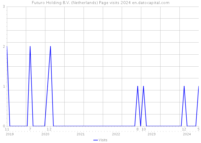 Futuro Holding B.V. (Netherlands) Page visits 2024 