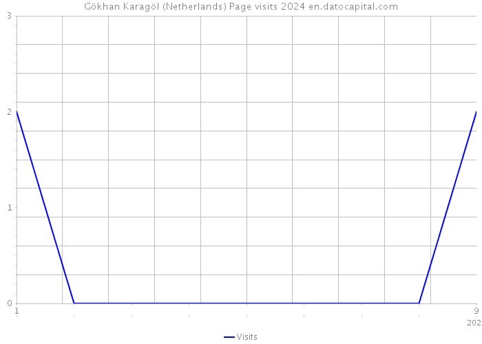 Gökhan Karagöl (Netherlands) Page visits 2024 