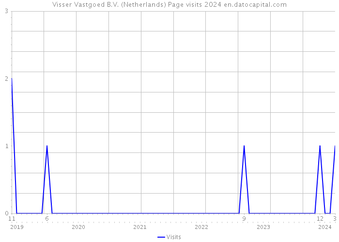 Visser Vastgoed B.V. (Netherlands) Page visits 2024 