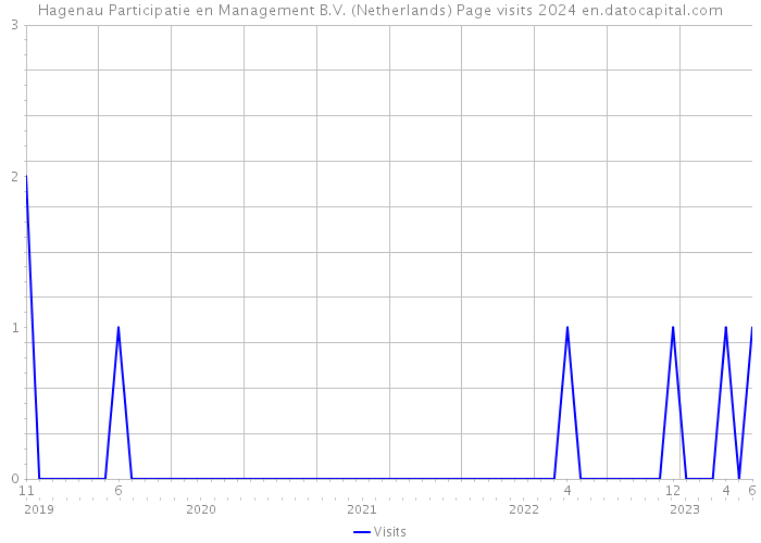 Hagenau Participatie en Management B.V. (Netherlands) Page visits 2024 