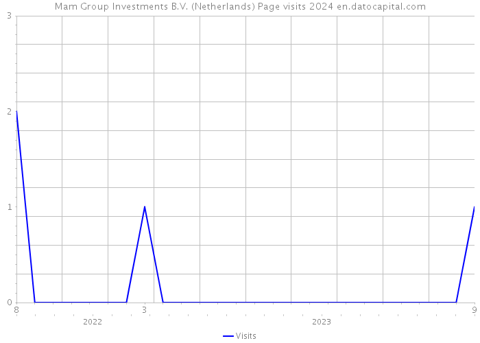 Mam Group Investments B.V. (Netherlands) Page visits 2024 