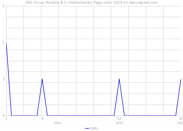 NSS Group Holding B.V. (Netherlands) Page visits 2024 