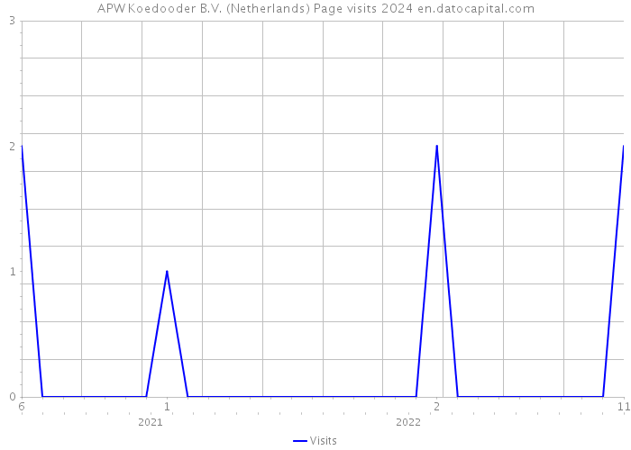 APW Koedooder B.V. (Netherlands) Page visits 2024 