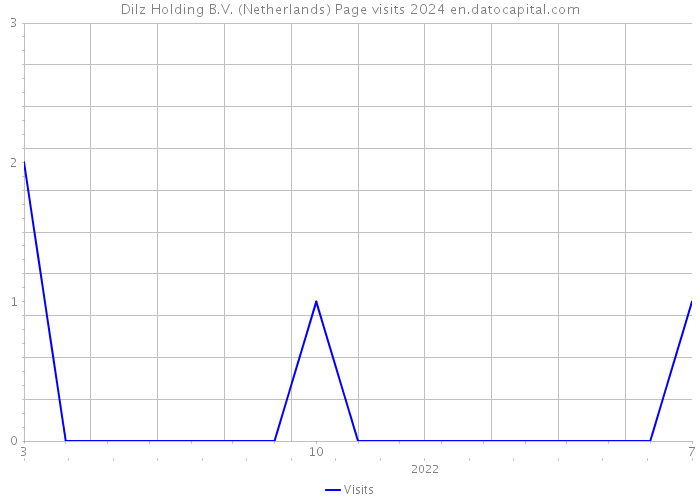 Dilz Holding B.V. (Netherlands) Page visits 2024 