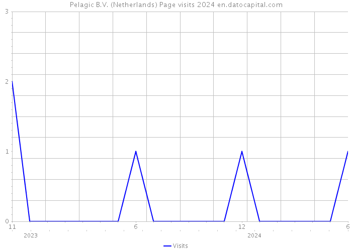 Pelagic B.V. (Netherlands) Page visits 2024 