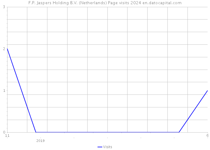 F.P. Jaspers Holding B.V. (Netherlands) Page visits 2024 