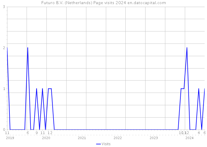 Futuro B.V. (Netherlands) Page visits 2024 
