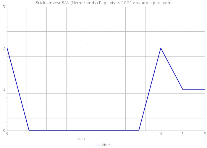 Bricks Invest B.V. (Netherlands) Page visits 2024 