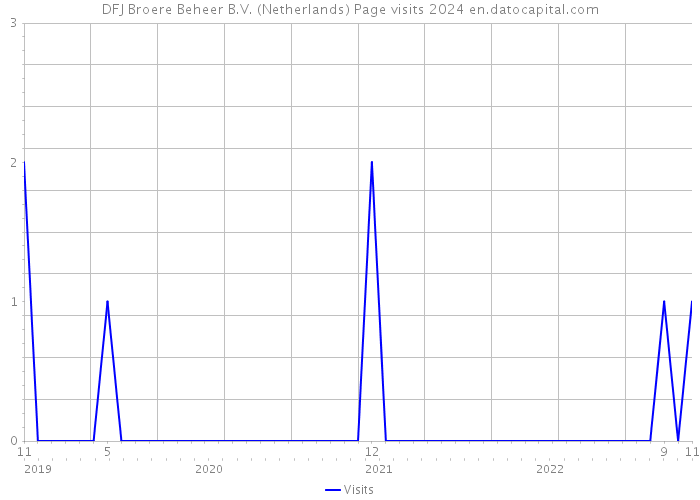 DFJ Broere Beheer B.V. (Netherlands) Page visits 2024 