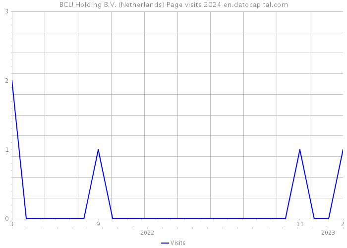 BCU Holding B.V. (Netherlands) Page visits 2024 