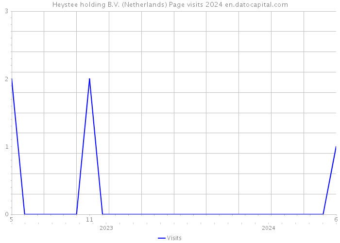 Heystee holding B.V. (Netherlands) Page visits 2024 