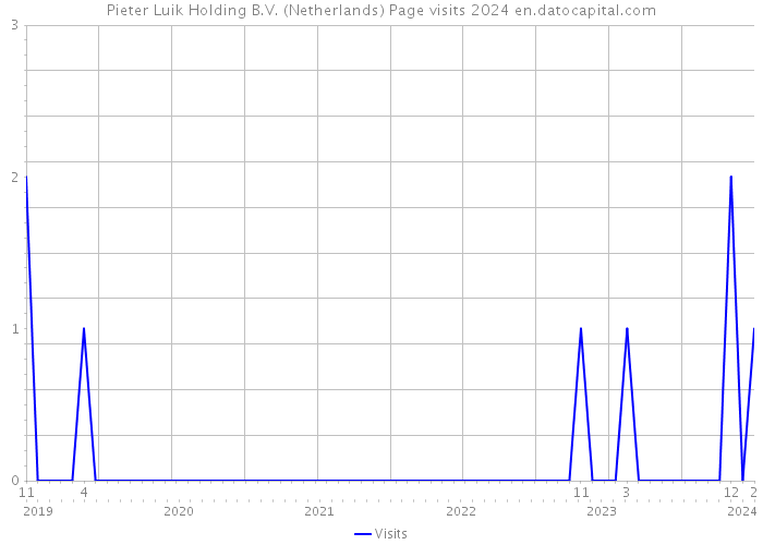 Pieter Luik Holding B.V. (Netherlands) Page visits 2024 