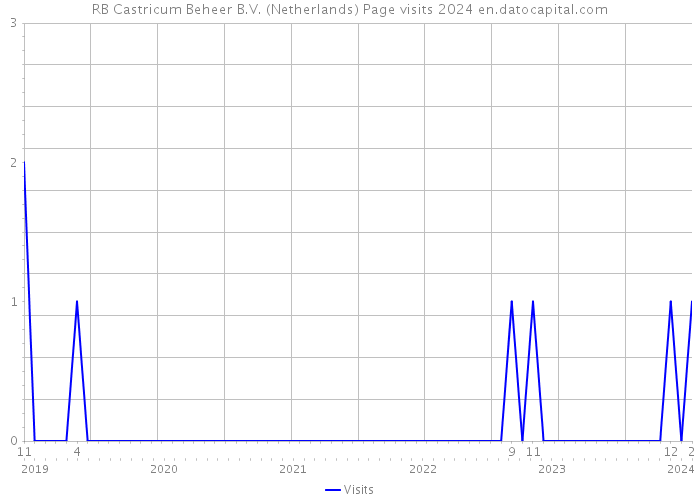 RB Castricum Beheer B.V. (Netherlands) Page visits 2024 