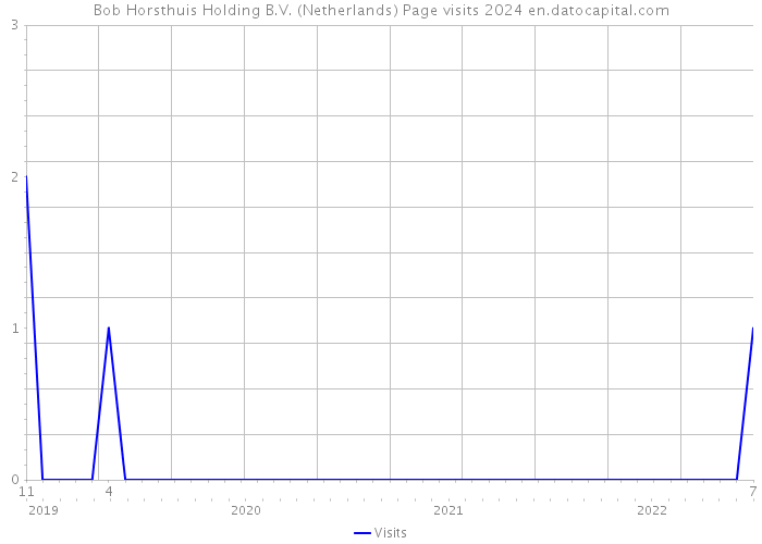 Bob Horsthuis Holding B.V. (Netherlands) Page visits 2024 