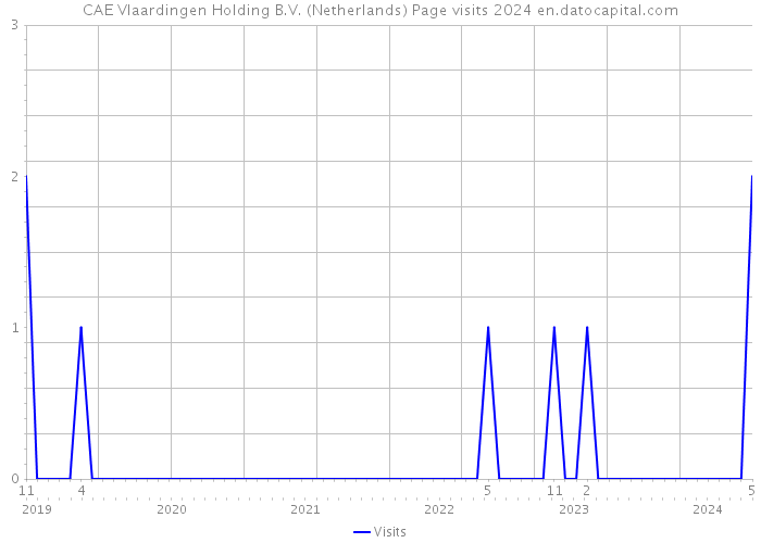 CAE Vlaardingen Holding B.V. (Netherlands) Page visits 2024 
