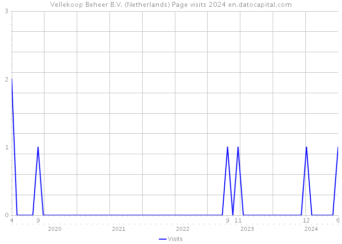 Vellekoop Beheer B.V. (Netherlands) Page visits 2024 