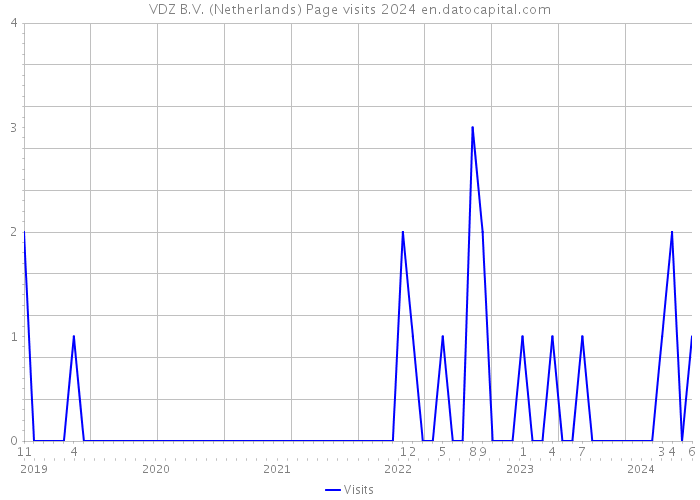 VDZ B.V. (Netherlands) Page visits 2024 
