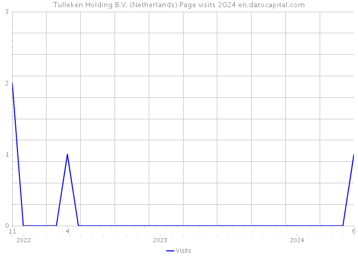 Tulleken Holding B.V. (Netherlands) Page visits 2024 